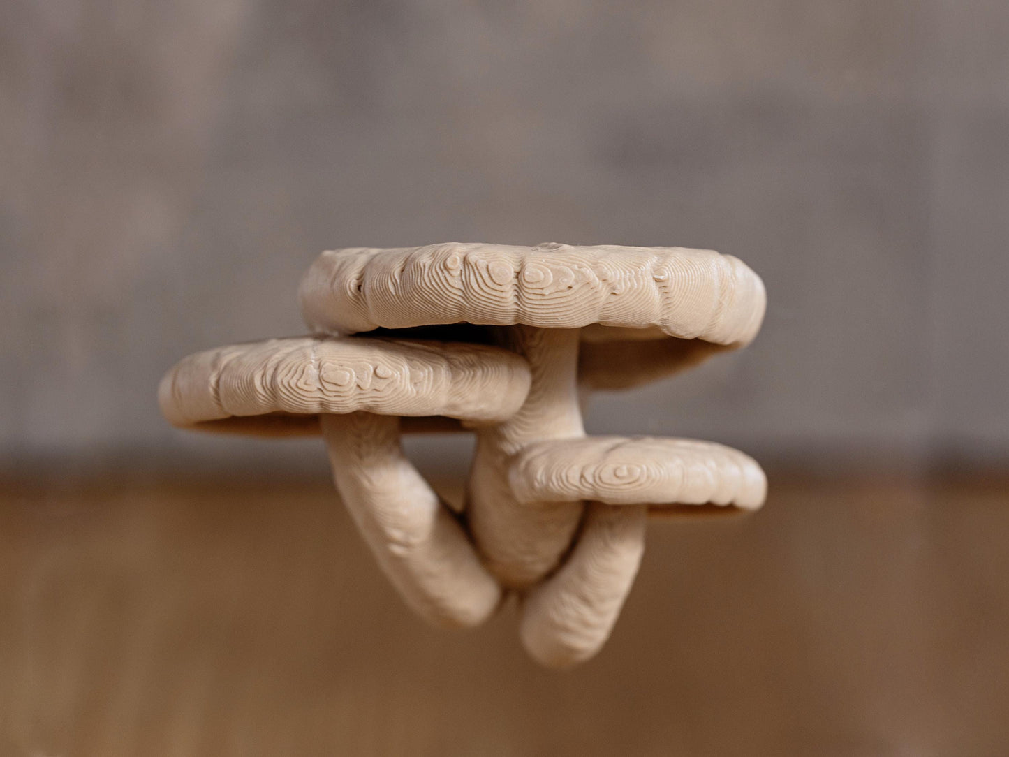 Jumping Spiders Ledge - Shiitake Mushroom (Lentinula edodes) - Shelf for Enrichment - Spider Perch