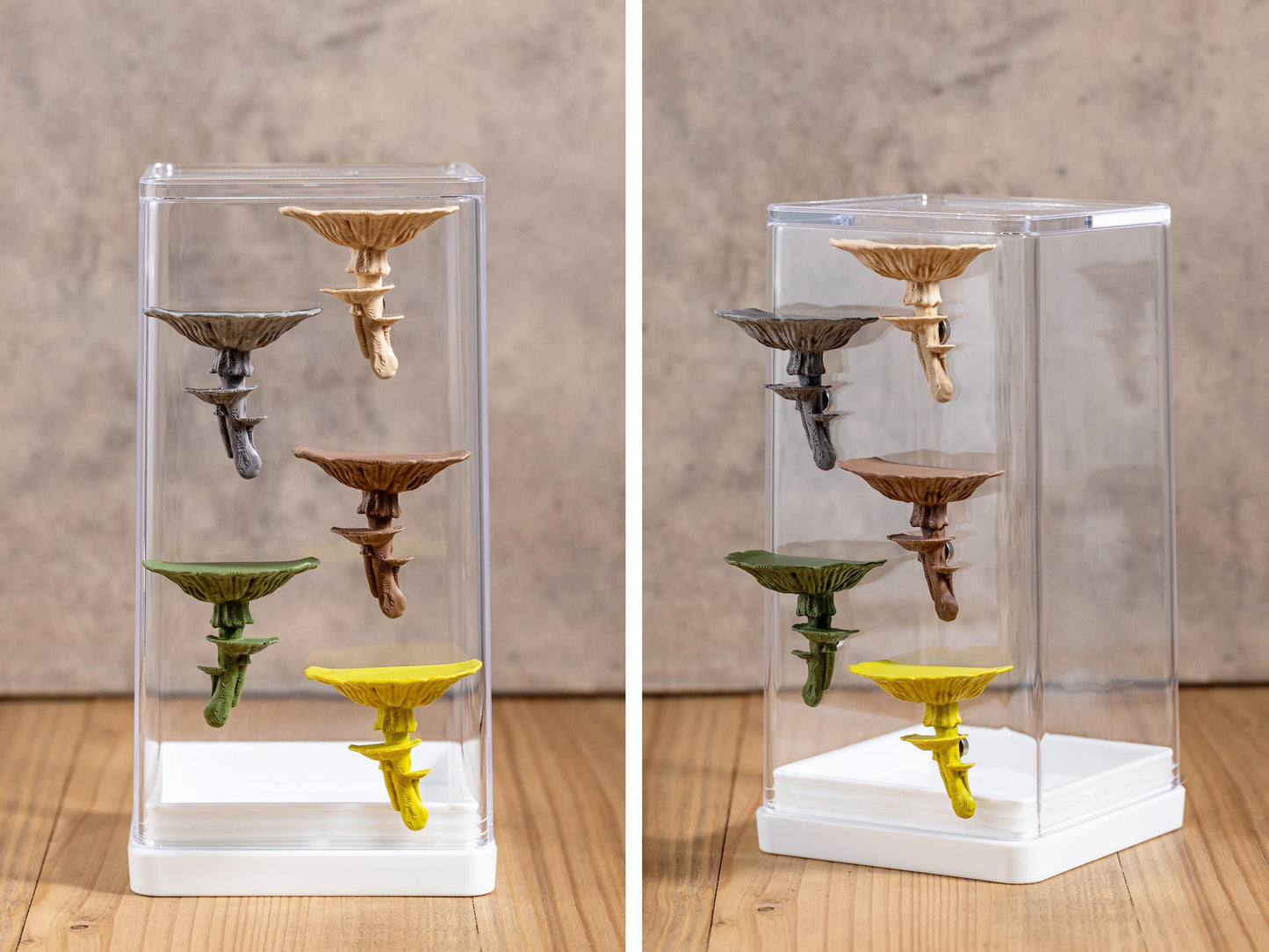Jumping Spider Ledge - Mushroom (Amanita caesarea) - Magnetized shelf for enrichment - Spider Perch