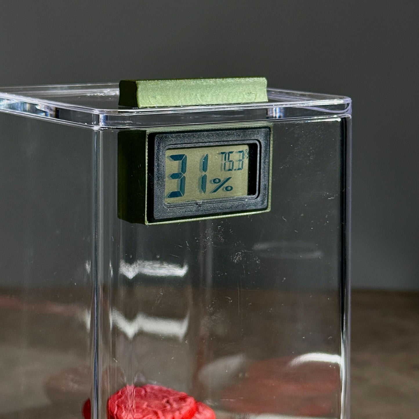 Jumping Spider Magnetic Hygrometer Mount for reptile, spider, insect, terrariums