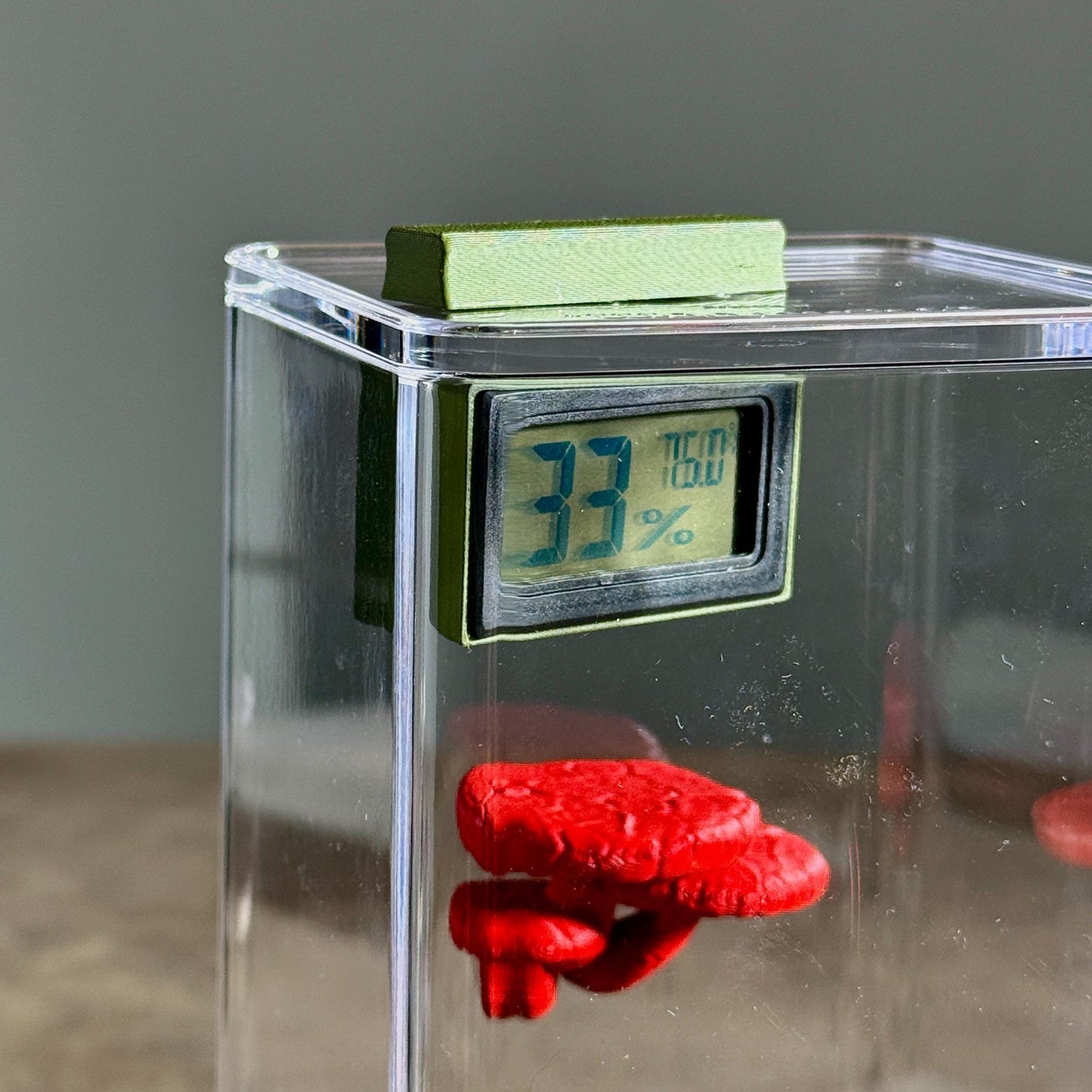 Magnetic Hygrometer Mount for reptile, spider, insect, terrariums