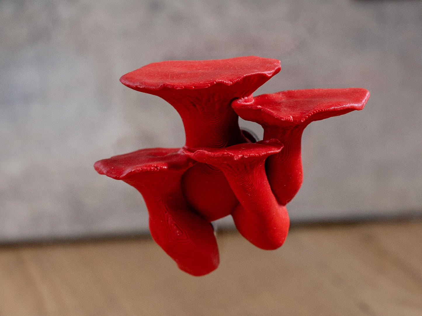 Jumping Spider Ledge - King Trumpet Mushroom (Pleurotus eryngii) - Magnetized shelf for enrichment - Spider Perch