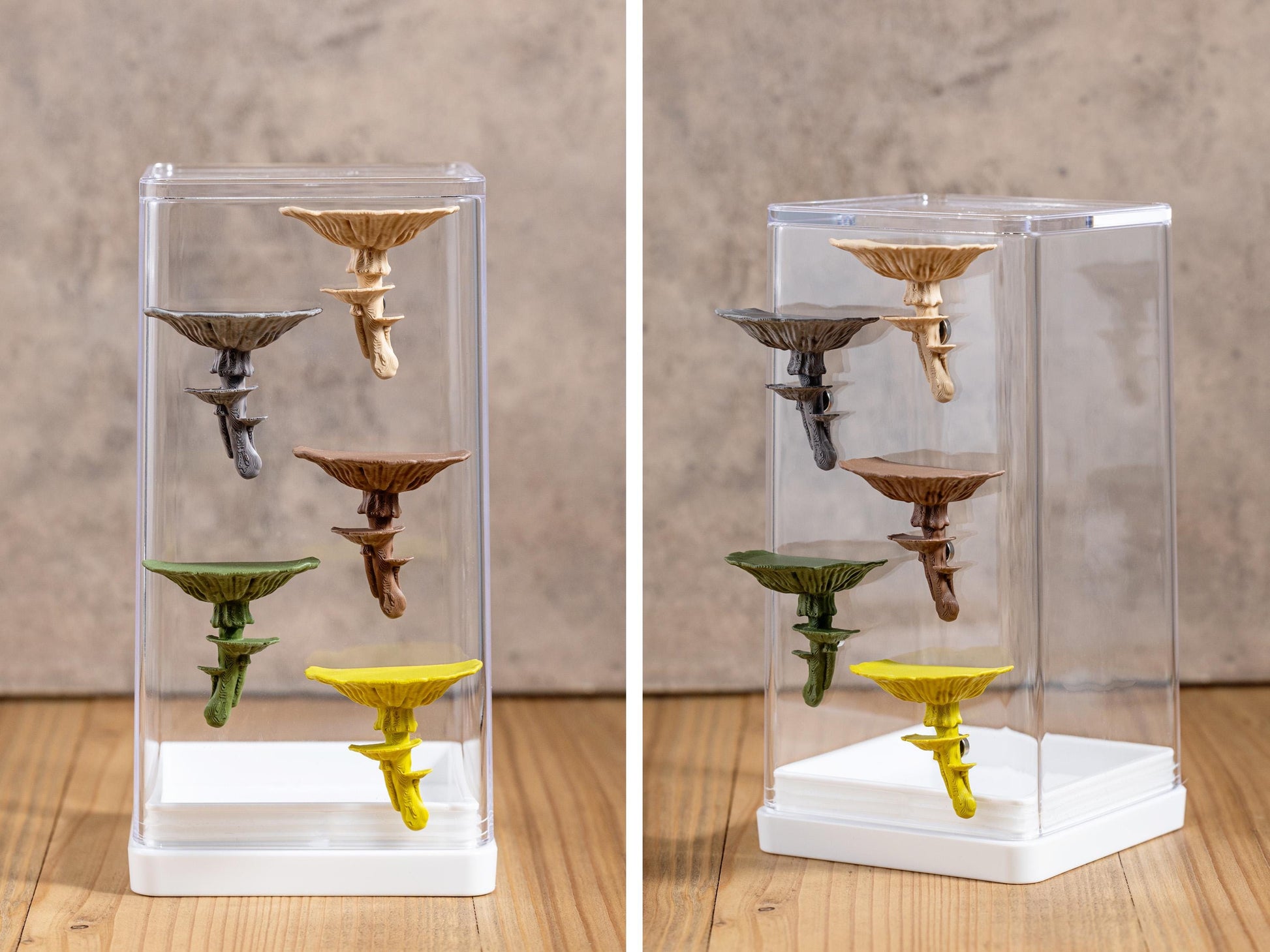 Jumping Spider Ledge - Mushroom (Amanita caesarea) - Magnetized shelf for enrichment - Spider Perch
