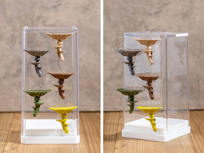 Jumping Spider Ledge - Mushroom (Amanita caesarea) - Magnetized shelf for enrichment - Spider Perch
