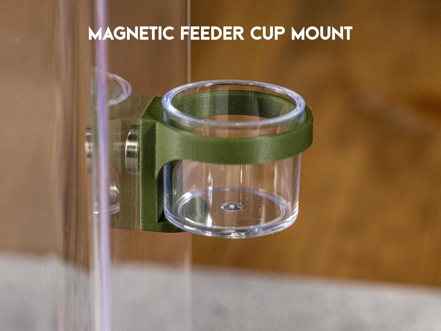 Jumping Spider Magnetic Feeder Cup mount with clear feeding cup